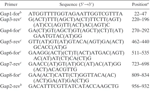 TABLE 1. Primers used for sequencing the gap gene