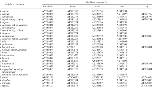 TABLE 2. Partial gene sequences from GenBank used for phylogenetic tree