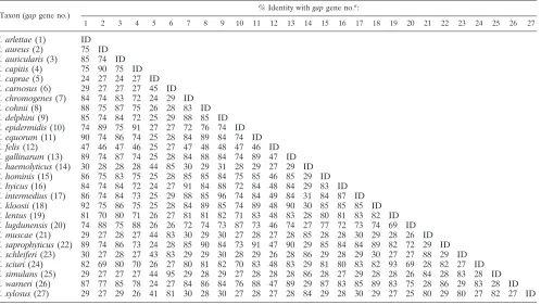 TABLE 3. DNA sequence identity matrix based on comparisons of the gap gene sequences of the Staphylococcus species