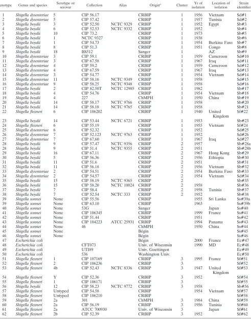 TABLE 1. List of strains used in this study