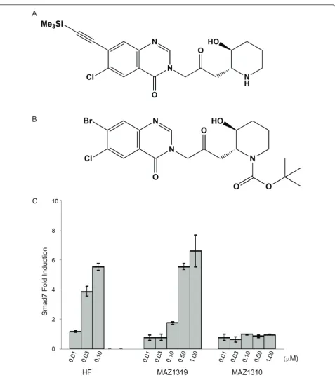 Figure 2 HF can be modified into functional and non-functional analogs. (A) Structures of MAZ1319 and (B) MAZ1310