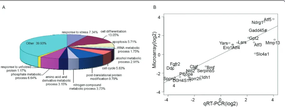 Figure 4 Global expression profiling implicates multiple biological pathways downstream of HF