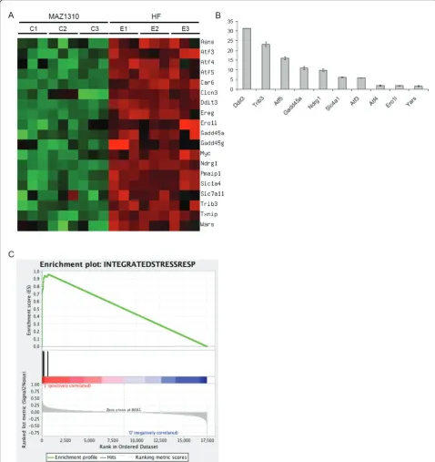 Figure 5 HF upregulates the expression of Integrated Stress Response effector genesRanked list metric measures a gene