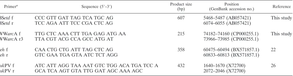 FIG. 1. caMRSA-MP characterization of clinical S. aureusA 2% agarose gel stained with ethidium bromide is shown