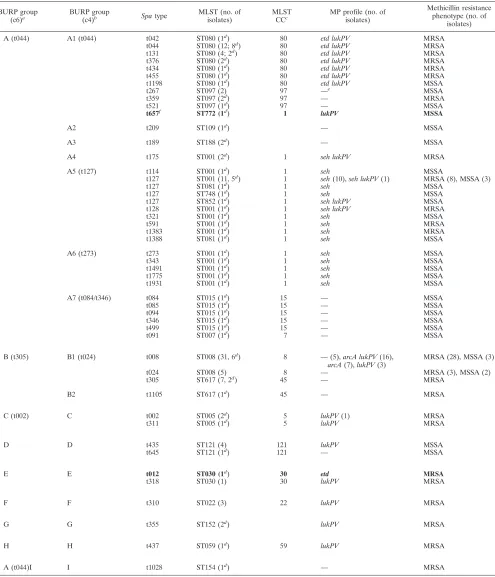 TABLE 2. Characteristics of isolates in this study