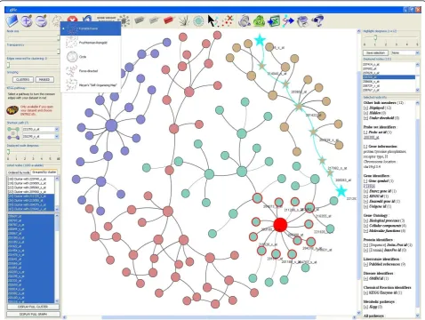 Figure 1 Screenshot of the general interface of gViznetwork. The top panel contains the visual functionalities