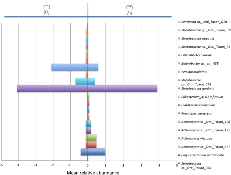 Fig 4. Distribution of bacterial species: Comparison between the sound surfaces (in the left) and the surfaces with caries (AWSL, in the right).