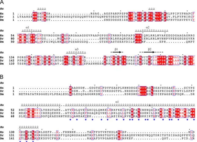 Fig 1. Multiple protein sequence alignment of FLASH and Lsm11 N-terminal domains. (A) Lsm11 N-terminal domain.