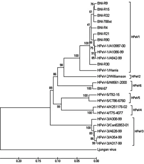 FIG. 4. Recombination analysis carried out with SimPlot software(19), using a 600-bp sliding window
