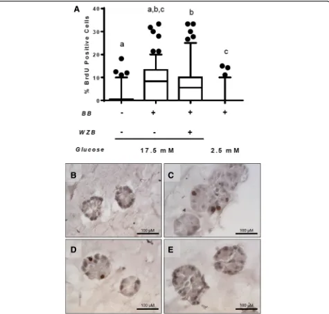 Fig. 7 GLUT1 inhibition or glucose restriction reduces cell proliferation in 3D acinar structures.3D acinar structures grown in 17.5 mM or 2.5 mM glucose, with and without WZB117