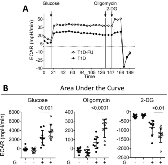 Fig 4. PBMCs from T1D follow up had enhanced glycolytic capacity compared to T1D. A. ECAR (mpH/