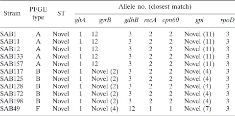 TABLE 4. Multilocus sequence typing of A. baumannii isolatesa