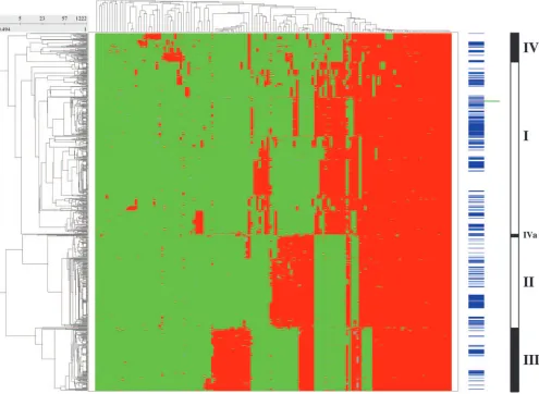 FIG. 1. Two-dimensional hierarchical clustering of the 1,222 S. aureusphylogenetic clustering of the 1,222 strains