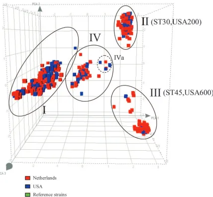 TABLE 2. Distribution of S. aureus strains (n � 1220) in the fourphylogenetic branches