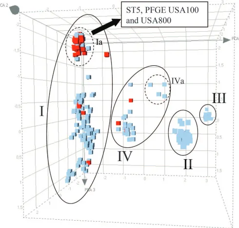 FIG. 3. Distribution of the American MSSA (n(n � � 307) and the American MRSA (n � 84) isolates