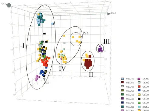 FIG. 4. Distribution of PFGE types of the 391 American S. aureus(n � isolates over the four AFLP clusters