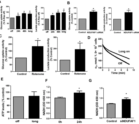 Figure 6: Mitochondrial dysfunction leads to increase of glycolysis activity and accumulation of NADH in T-Rex/293 cells
