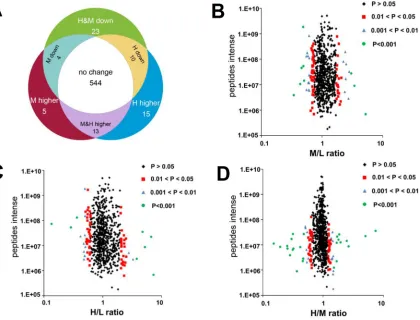 Figure 3: Effect of K-RasG12V activation on mitochondrial proteins expression profiles