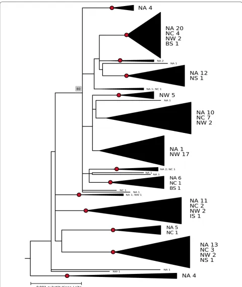 Fig. 2 Mitogenome relationships in Atlantic cod. Maximum likelihood (ML) phylogenetic tree based on complete mitogenome haplotype filled circles indicate highly significant branch points of bootstrap values above 80% in ML analysis