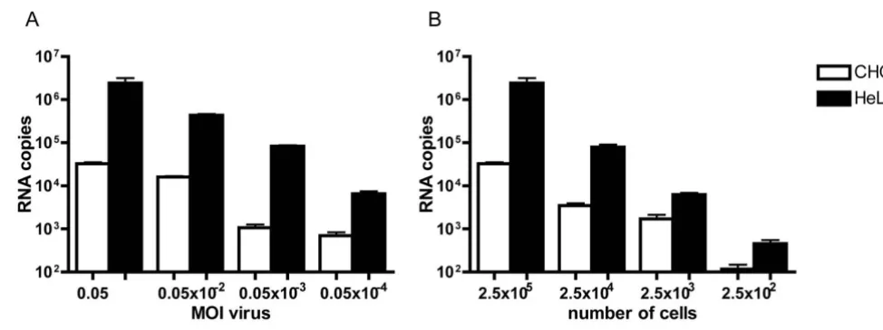 Figure 3Sensitivity studies to measure viral attachment with RT-PCRSensitivity studies to measure viral attachment with RT-PCR