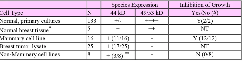 Table 1 Summary of Anti-Mammastatin Immunoblot and Inhibition Assay