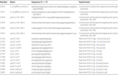 Table 1 Oligodeoxyribonucleotides used in this study