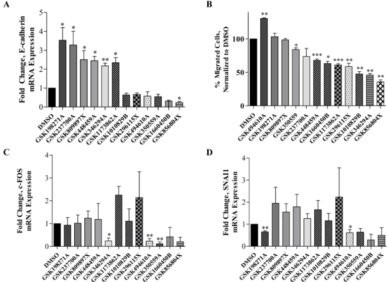 Fig 2. Kinase inhibition induces MET through enhanced MET gene expression and suppression of cellular migration