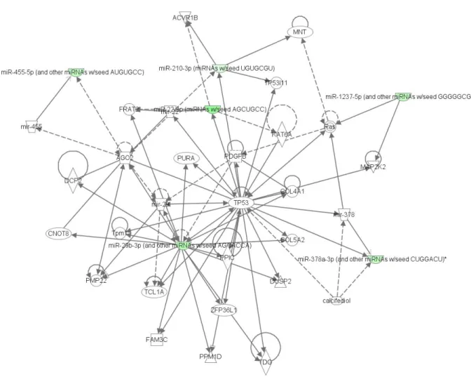Figure 7: 27 Network with associated functions in cancer, gastrointestinal disease, cellular assembly and  organization as determined by Ingenuity ®  Pathway Analysis, following input of differentially expressed miRNAs 
