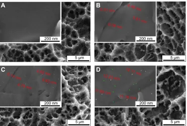 Figure 1 surface microstructures of (first SLA procedure and then silver plasma immersion ion implantation at 15 kV for 90 minutes.A) sla, (B) 30 min–15 ag-PIII, (C) 60 min–15 ag-PIII, and (D) 90 min–15 Ag-PIII detected by SEM at low and high magnifications, respectively.Notes: 30 min–15 Ag-PIII, titanium surfaces treated by first SLA procedure and then silver plasma immersion ion implantation at 15 kV for 30 minutes; 60 min–15 Ag-PIII, titanium surfaces treated by first SLA procedure and then silver plasma immersion ion implantation at 15 kV for 60 minutes; 90 min–15 Ag-PIII, titanium surfaces treated by Abbreviations: SLA, sand-blasted, large grit, and acid etched; Ag-PIII, silver plasma immersion ion implantation; SEM, scanning electron microscopy; min, minutes.