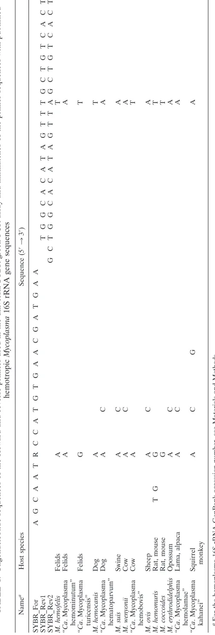 TABLE 1. Oligonucleotide sequences of the forward and reverse primers used in the universal SYBR green PCR assay and mismatches of the primer sequences with published 16S rRNA gene sequences Mycoplasmahemotropic