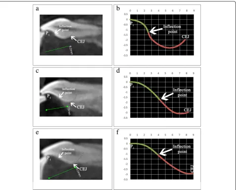 Fig. 7 acubic Bezier equations of Table, c, e Three incisors with a complex, moderate, and simple S-shaped PSC, respectively, while b, d, f show their PSC plotted in Excel using 1