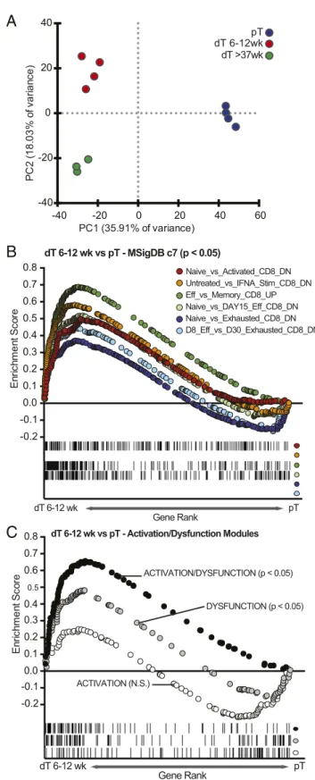 Fig. 1. Transcriptional signatures of CD8 + EM dT dysfunction, activation, and effector function are coupled