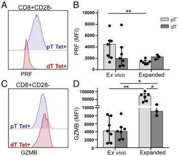 Fig. 4. Decidual CD8 + CD28 − T cells increase PRF and GZMB upon activation.