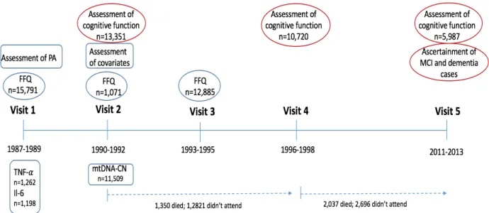 Figure 5: Timeline of the ARIC study. 