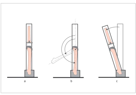 Figure 2-4.  Phantom device settings: (a) in resting position, (b) with a flexion angle and (c)  with a positive anterior tilt