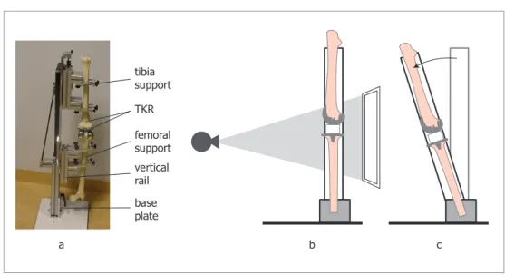 Figure 3-7.  a) image of the phantom. (b) illustration of the phantom in a neutral position