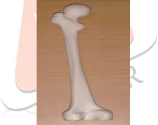 Fig. 6.Preparation of STL File for Prototyping 