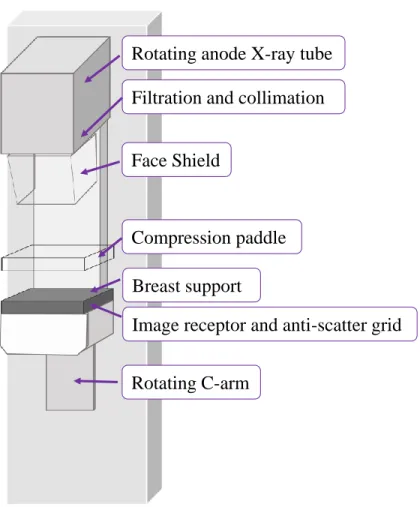 Figure 1.13 Illustration of a mammography unit with  major components labeled. Adapted from Ikeda, 2011