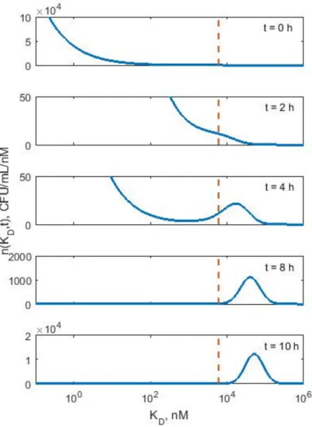 Fig 5. Simulated density distributions of K D at various times for KP619 bacteria population exposed to polymyxin B concentration of C = 8 mg/L