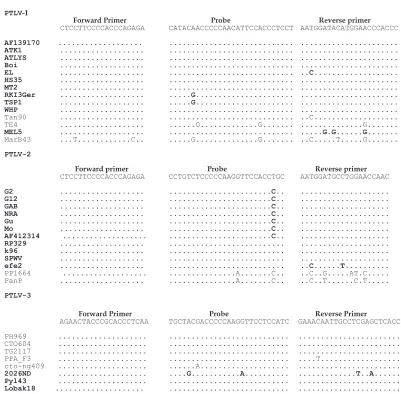 FIG. 1. Sequence alignments of oligonucleotides used for HTLV ampliﬁcation in the taxand STLV strains are reported (GenBank accession no