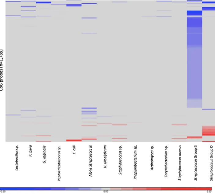 Fig 1. Heatmap of differentially methylated CpG probes corresponding to each of the microorganisms