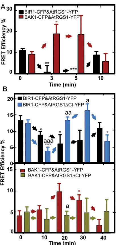 Fig 3. flg22-induces changes in AtRGS1/ RLKs complex dynamics. (A) flg22 rapidly causes AtRGS1 to move away from BIR1 and toward BAK1