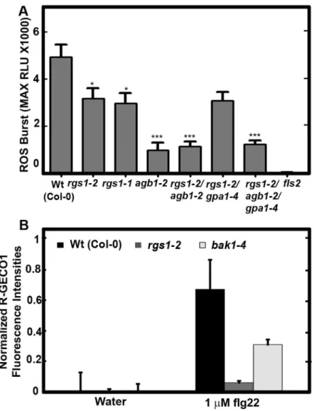 Fig 1. AtRGS1 functions in an early step in ROS production. (A) flg22-induced, FLS2-dependent ROS production is greatly attenuated in the rgs1 null mutant