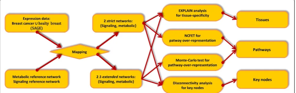 Figure 1 Workflow scheme for the analysis of the filtered networks. We obtain publicly available expression sets from breast cancer data(CGAP SAGE libraries); these are mapped to TRANSPATH signaling molecules and KEGG metabolic activities