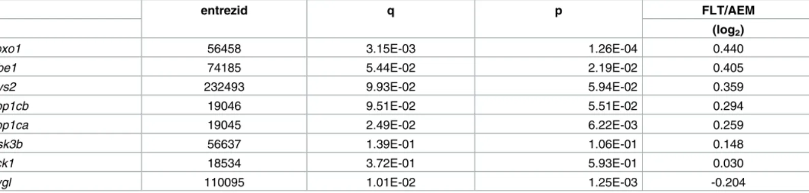 Table 4. mRNA expression changes in the liver for selected genes involved in glycogen metabolism