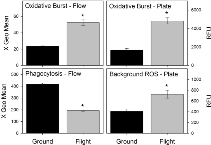 Fig 1. Effects of spaceflight on splenocyte phagocytic function. Flow = Flow cytometry based assay