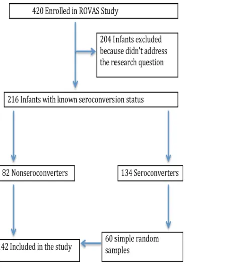 Fig 1. Infant recruitment and sample selection flow chart.