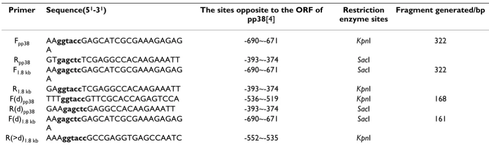 Table 2: Primers used to generate a serial of plasmids to validate the activity of the promoter