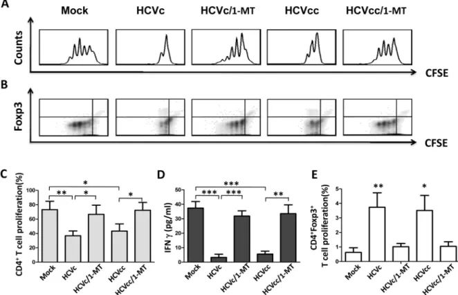 Fig 4. HCVc and HCVcc induce suppressive monocytes to inhibit autologous CD4 + T cell activation and expand CD4 + Foxp3 + Tregs in an IDO1-dependent manner
