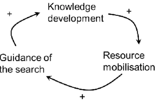 Figure 4.1 Positive feedback loops in phase I 